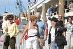 Key West Holly