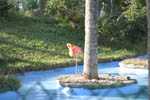 Marineland