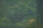 Marineland
