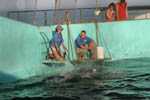 Marineland