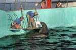 Marineland