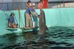 Marineland