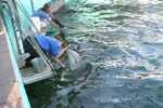 Marineland