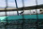 Marineland