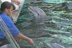 Marineland
