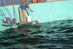 Marineland
