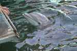 Marineland