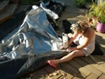 pool cover