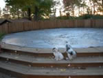 pool cover